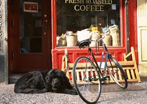 さまざまな疾患に対応している動物病院