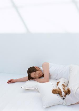 マンチカンを迎えるならこのショップ