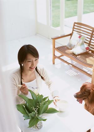 「大阪でペットと一緒に移動するためのタクシーサービス完全ガイド」