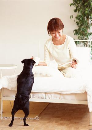 信頼と実績の動物病院ガイド2025：伊勢原エリアで選ばれる理由