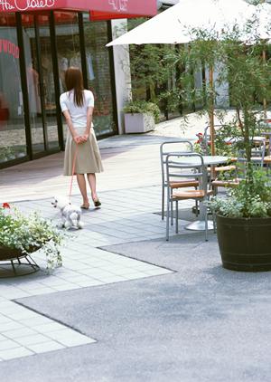 青山でペットと楽しむ!おすすめレストランガイドと特別な食体験